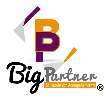 Logo Big Partner