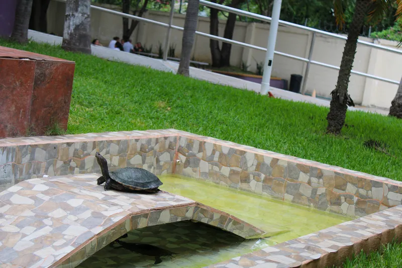 Instalaciones UNISUR 10