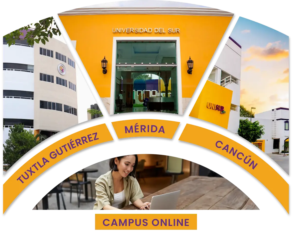 banner universidad del sur